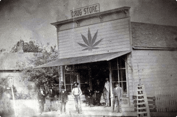 Georgia cannabis history